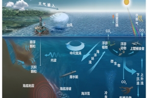 中國(guó)科學(xué)院南海海底觀(guān)測(cè)子網(wǎng)項(xiàng)目可行性研究報(bào)告.jpg